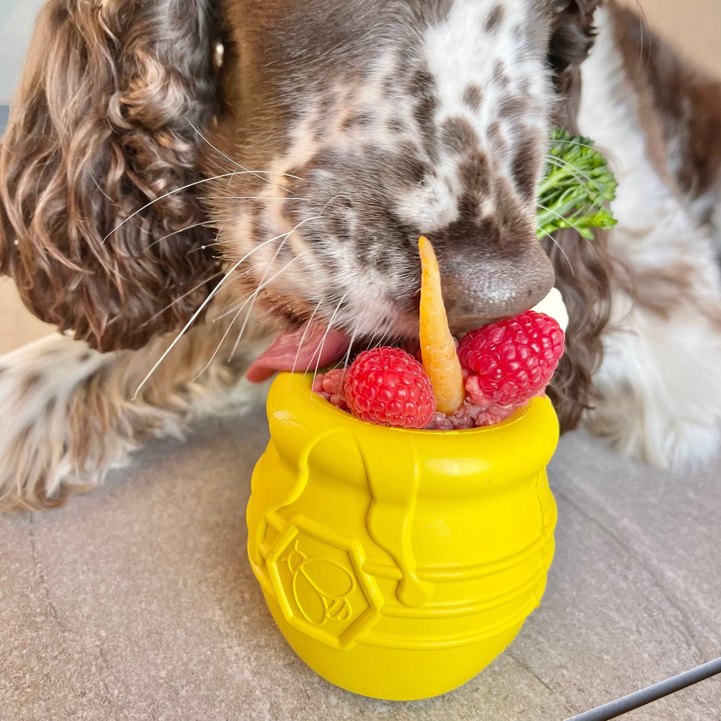 Honey Pot - Chew and Enrichment Toy: Yellow / Large
