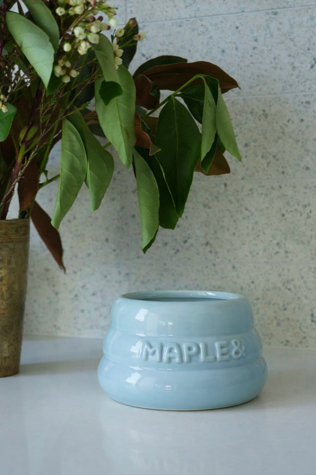 Maple & Buttercream Blue ceramic dog bowl for long-eared breeds