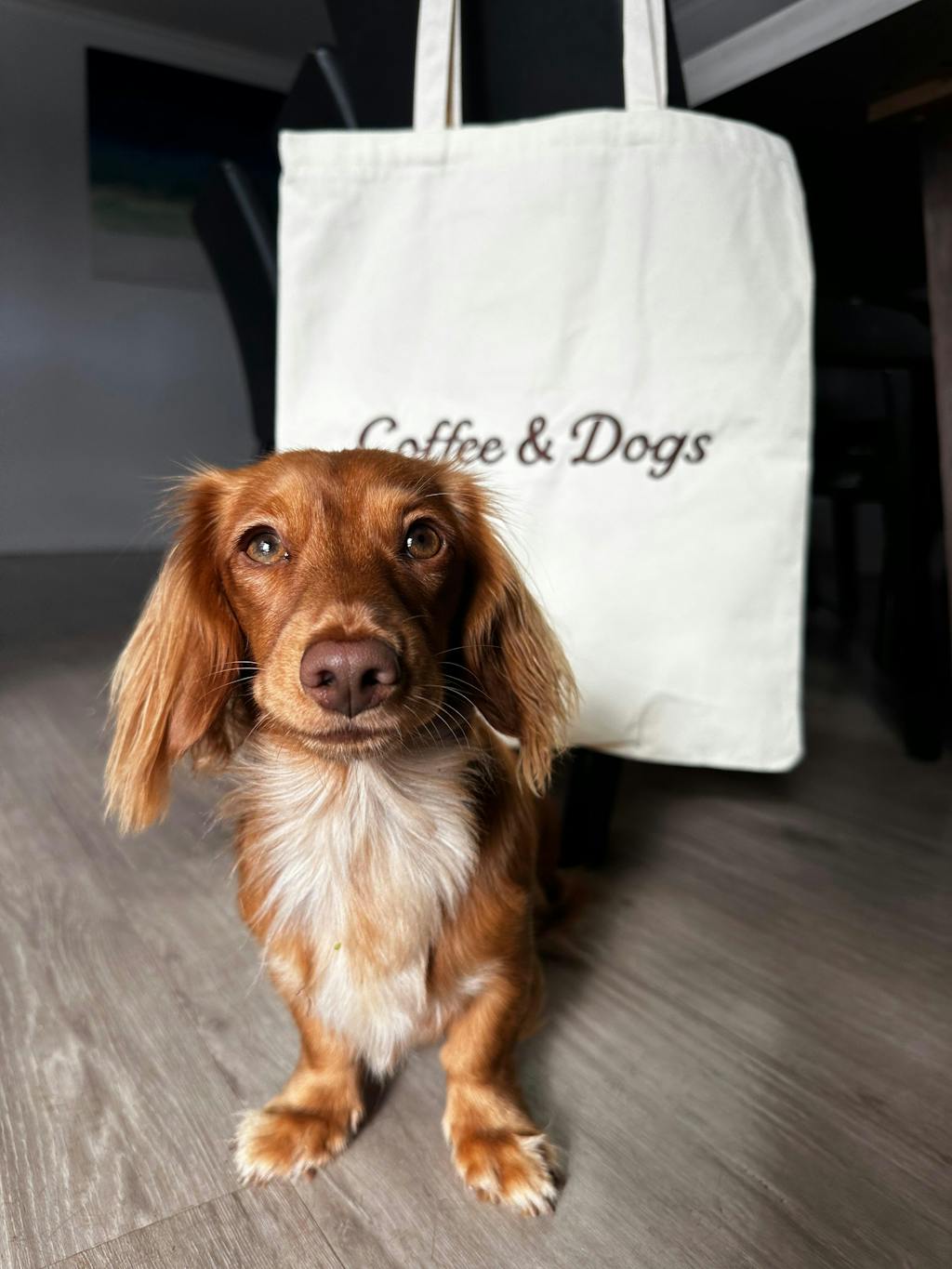 Coffee & Dog Tote