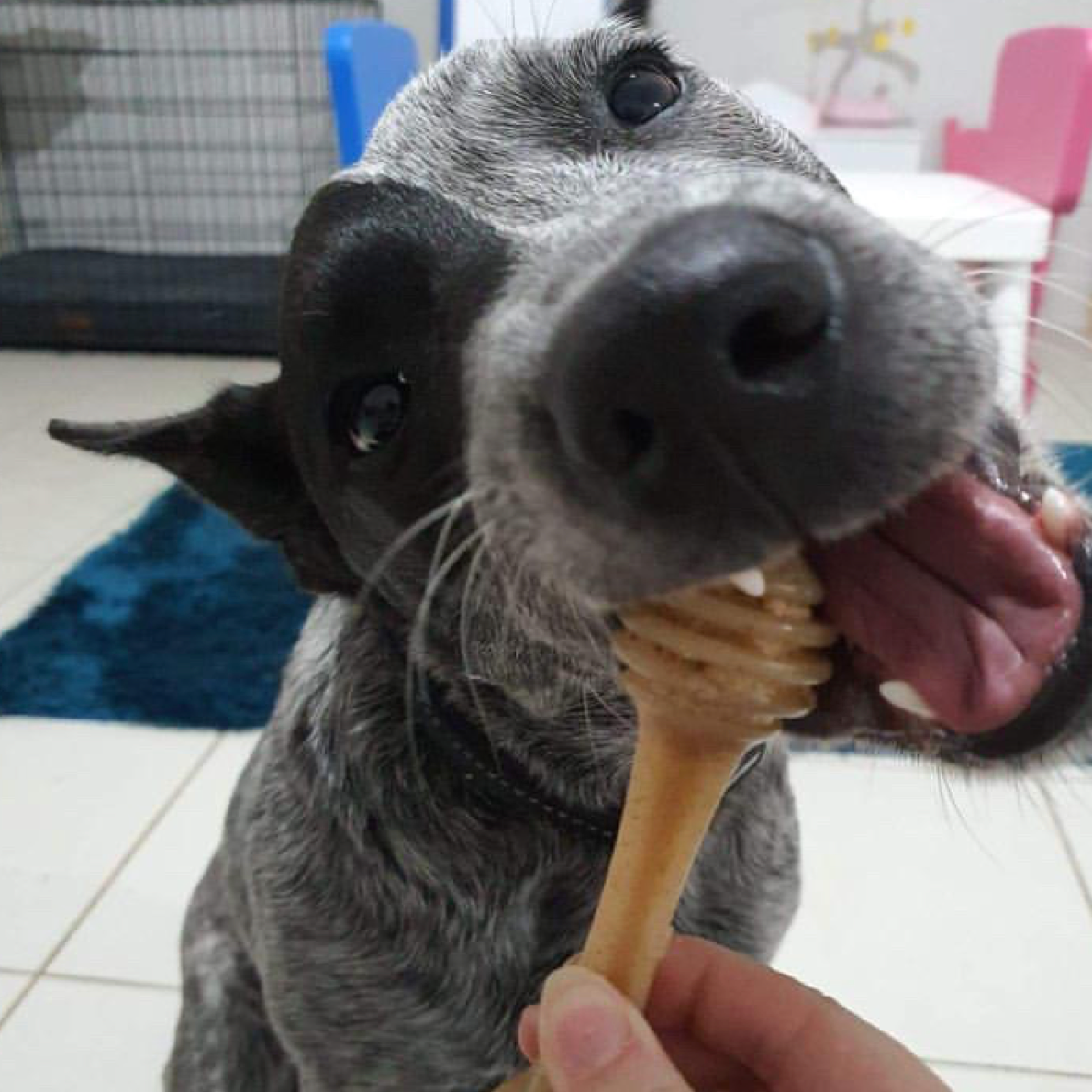 Nylon Honeybone: Medium