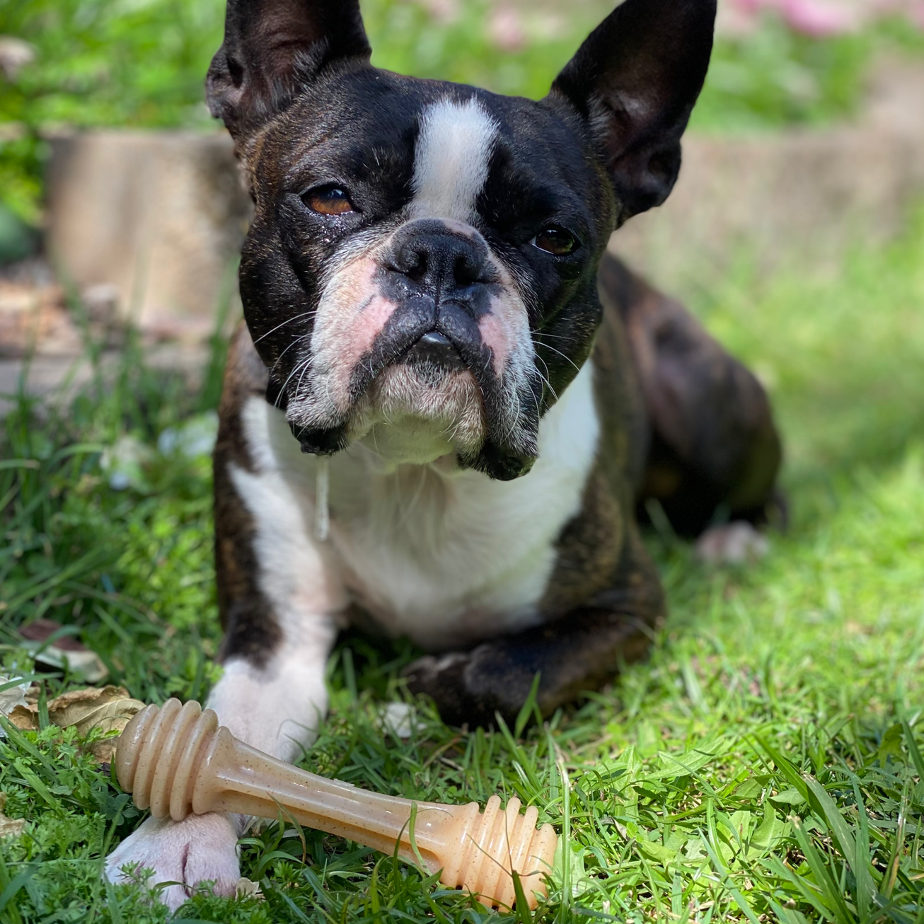 Nylon Honeybone: Medium