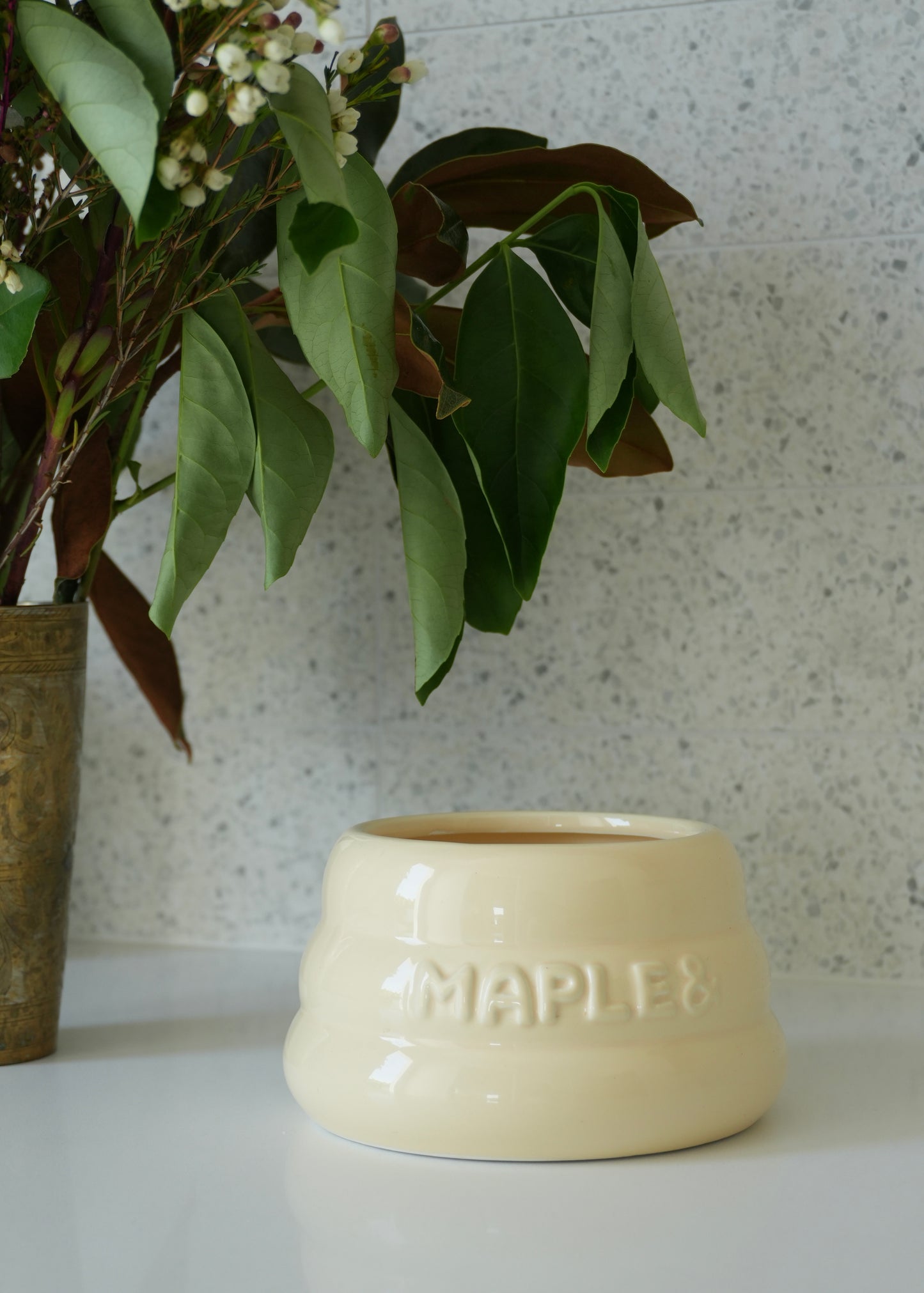 Long Eared Ceramic Dog Bowl