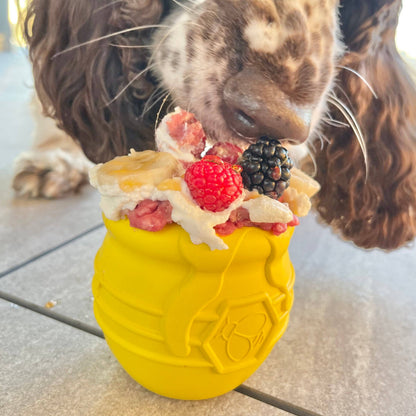 Honey Pot - Chew and Enrichment Toy: Yellow / Extra Large