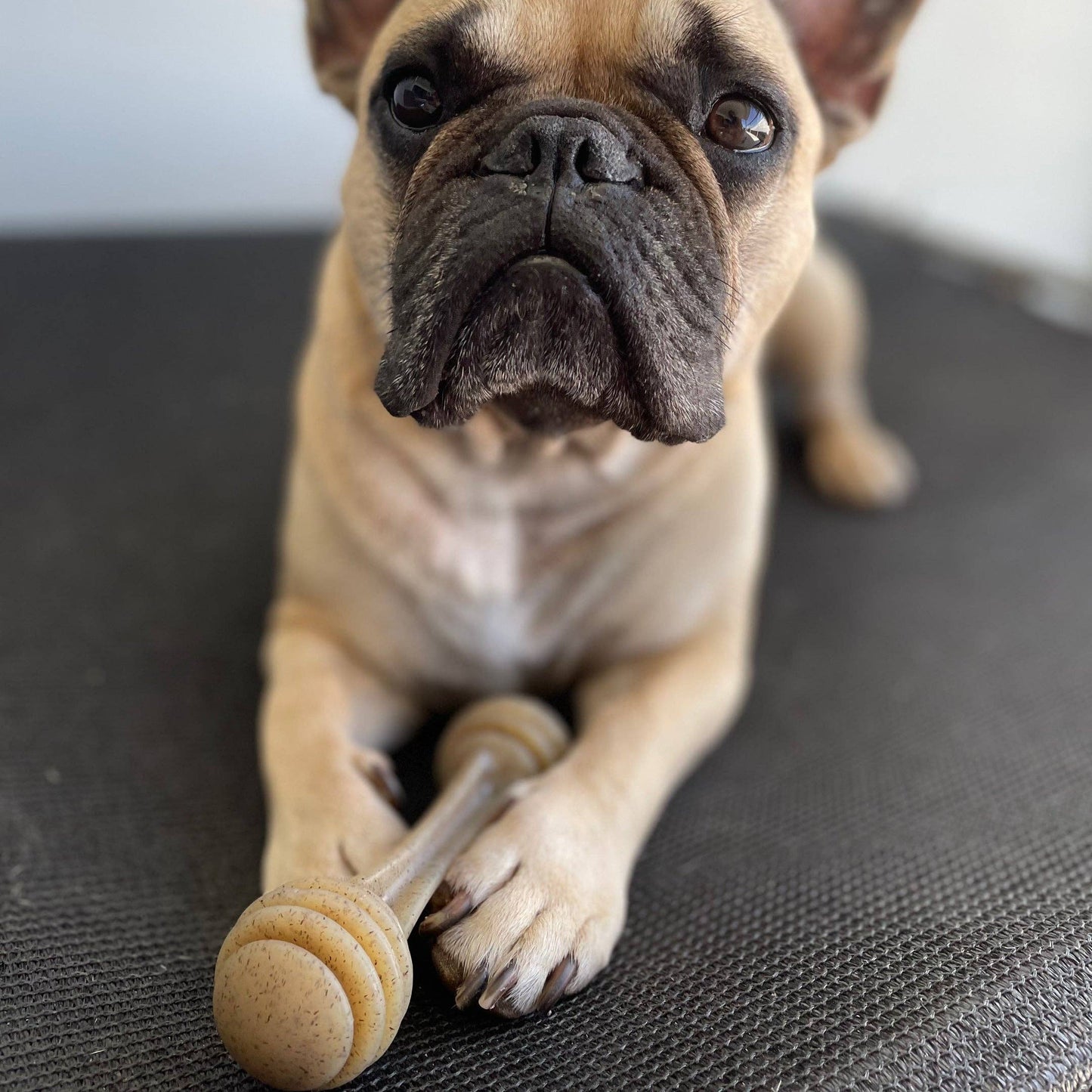 Nylon Honeybone: Medium