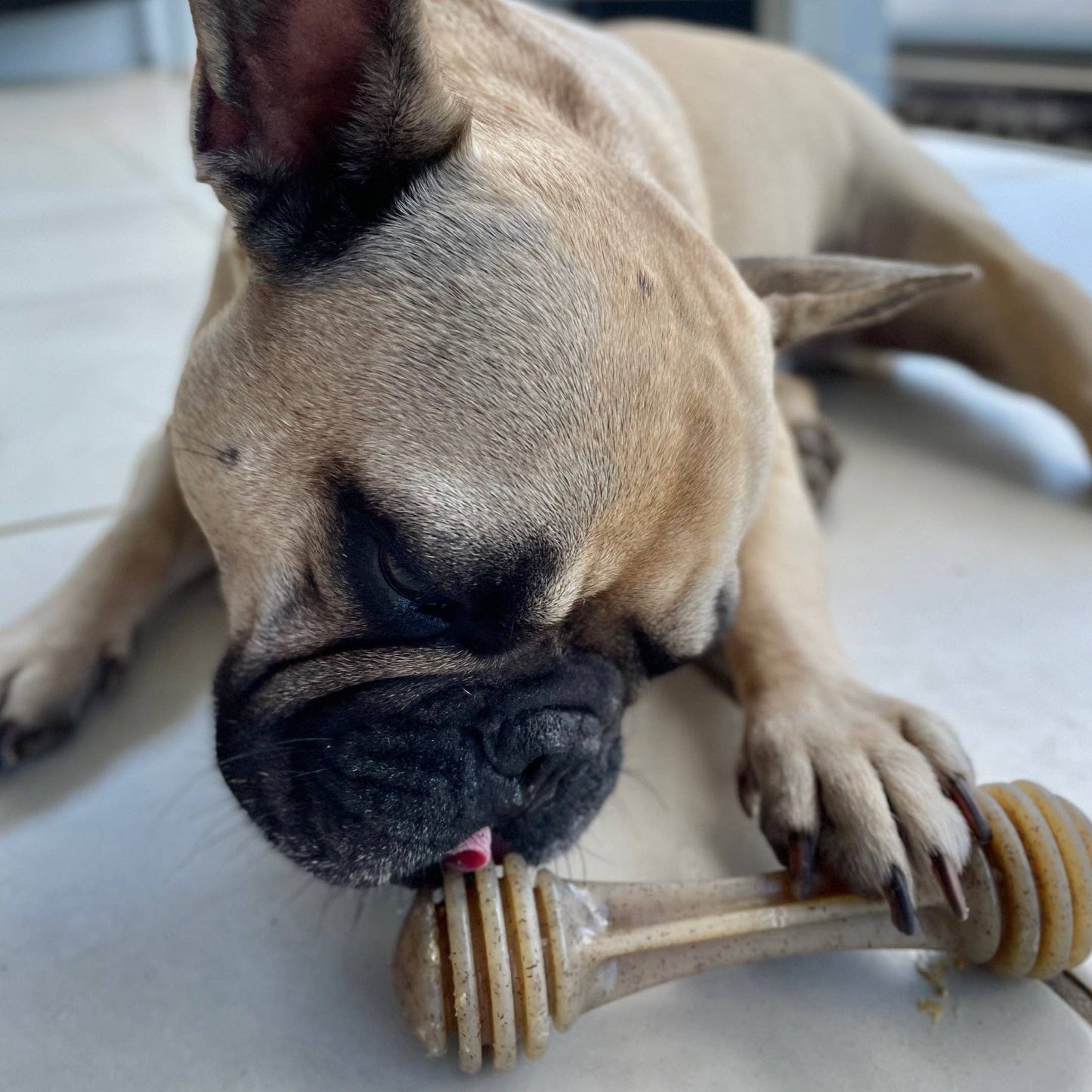 Nylon Honeybone: Medium