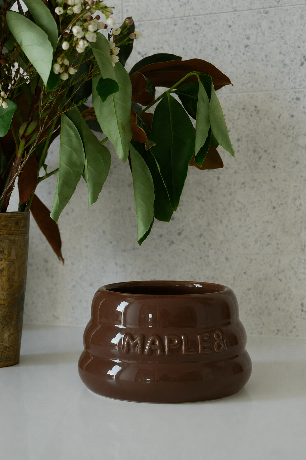 Long Eared Dog Bowl