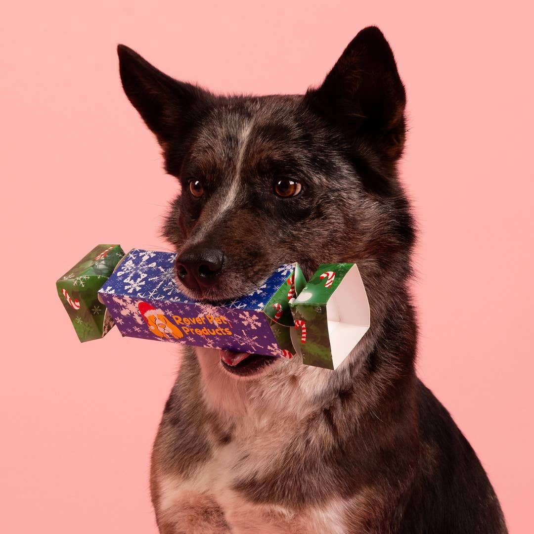 Christmas Bon Bon 2025