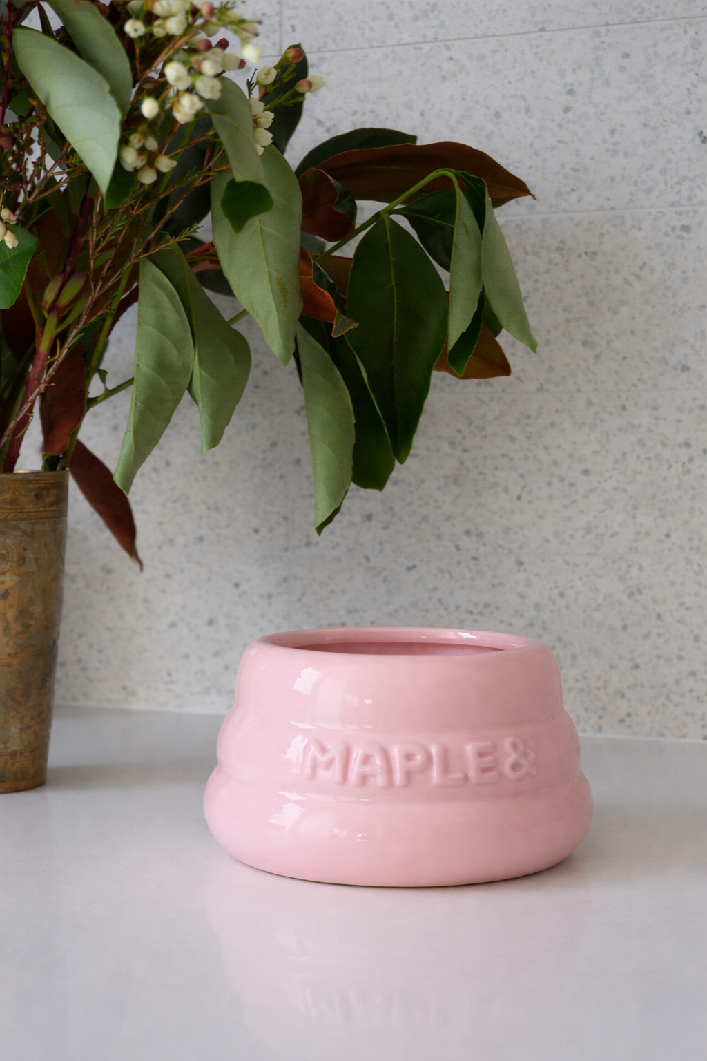 Maple & Pastel Blush ceramic dog bowl for long-eared breeds