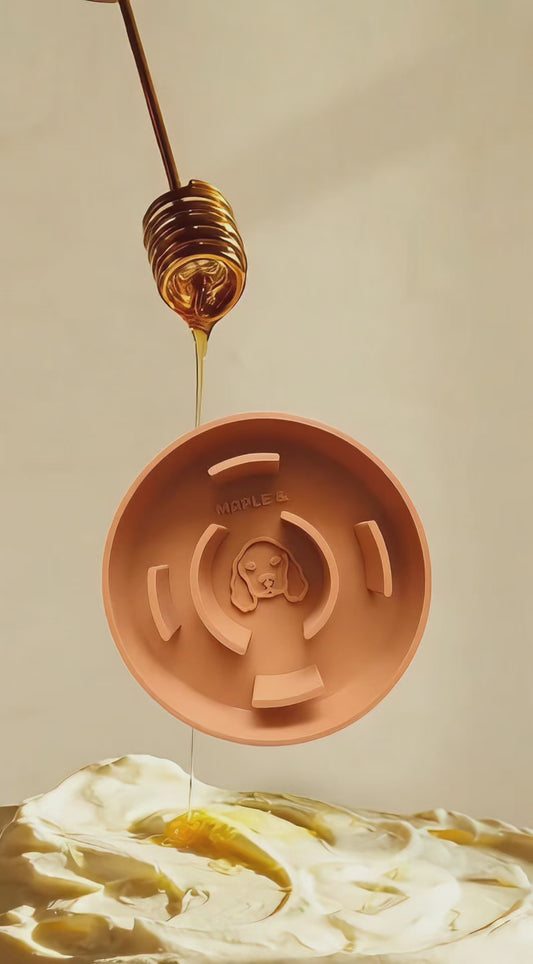 2 x Long Eared Dog Bowls + 1 Slow Feeder Insert Bundle