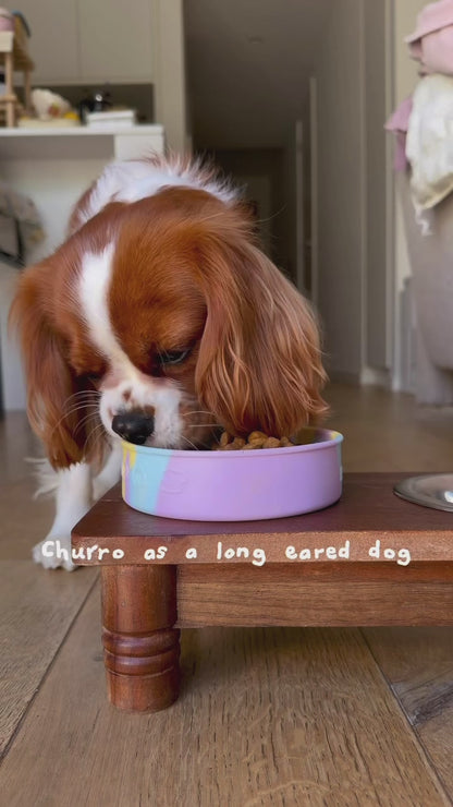Long Eared Dog Bowl